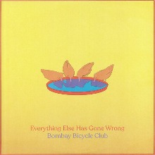 Everything Else Has Gone Wrong (Deluxe Edition 2LP)