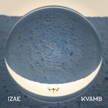 Kvamb