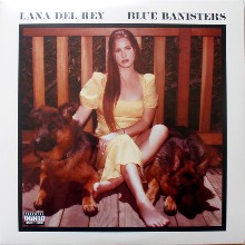 Blue Banisters