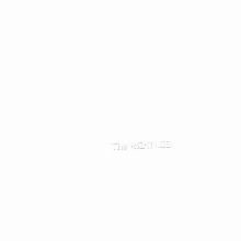 The Beatles (White Album) (Anniversary Edition 2LP)